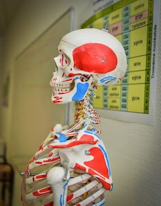 Cours DUCOS place picture